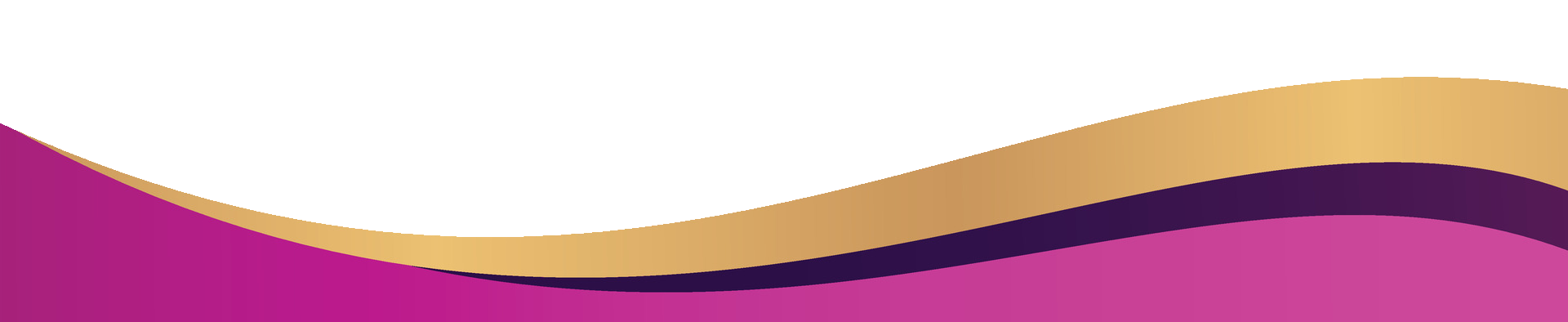 เวกเตอร์โค้ง